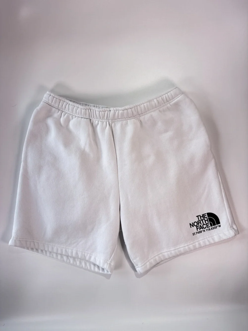 The North Face Mens Coordinates Fleece Shorts White XL